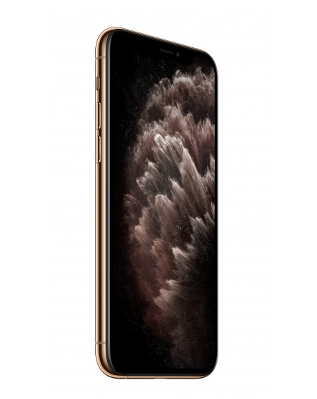 iPhone 11 Pro 64GB GoldProdotto rigenerato grado A