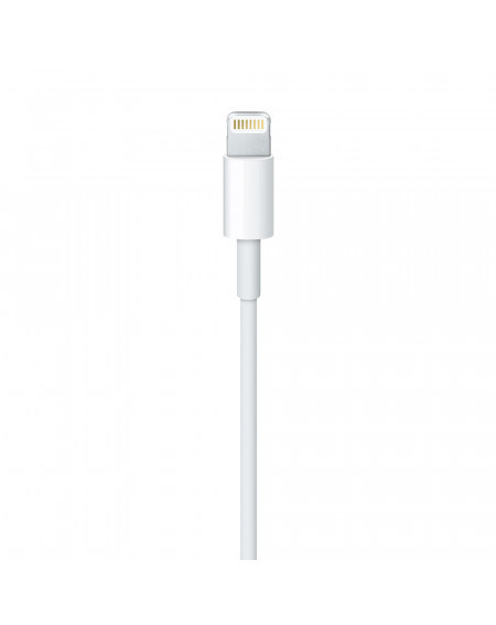 Cavo Lightning Apple USB (1M) - C&C Shop