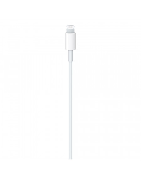 Cavo Apple da USB-C a Lightning (2m) - C&C Shop