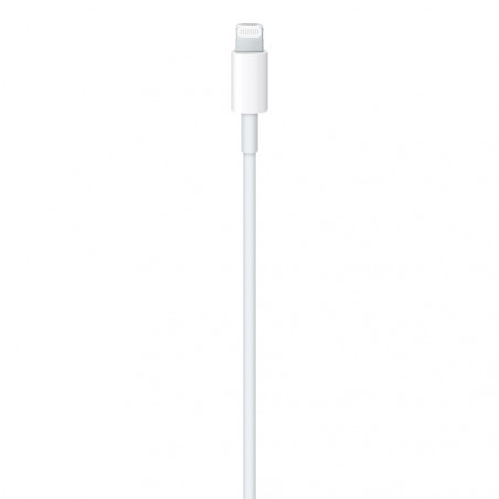 Cavo Apple da USB-C a Lightning (1m) - C&C Shop
