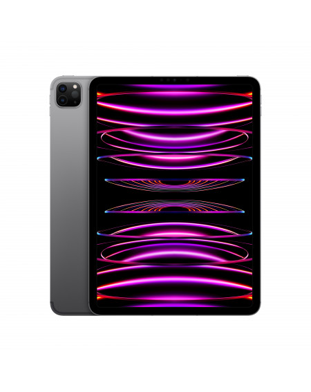 11-inch iPad Pro Wi-Fi + Cellular 256GB - Grigio Siderale - C&C Shop