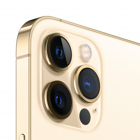 iPhone 12 Pro Max 128GB Gold - Prodotto rigenerato di grado C - C&C Shop