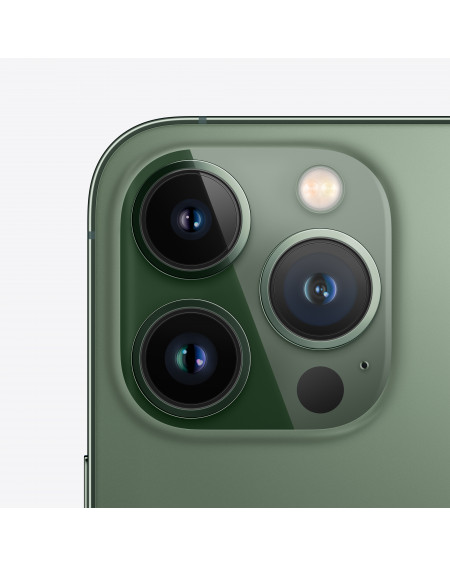 iPhone 13 Pro 256GB Verde Alpino - Prodotto rigenerato grado C Plus