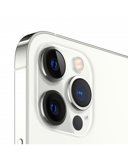 iPhone 12 Pro Max 256GB Silver - Prodotto rigeneratodi grado C Plus - C&C  Shop