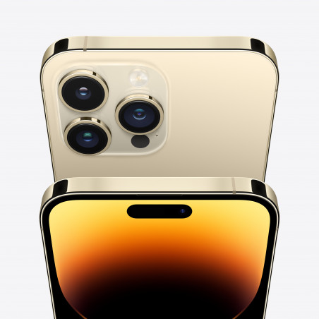 iPhone 14 Pro Max 256GB Oro - Rigenerato di grado B