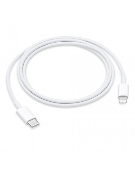 Cavo Apple da USB-C a Lightning (1m)
