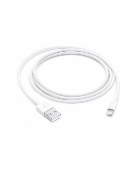 Cavo Lightning Apple USB (1M)