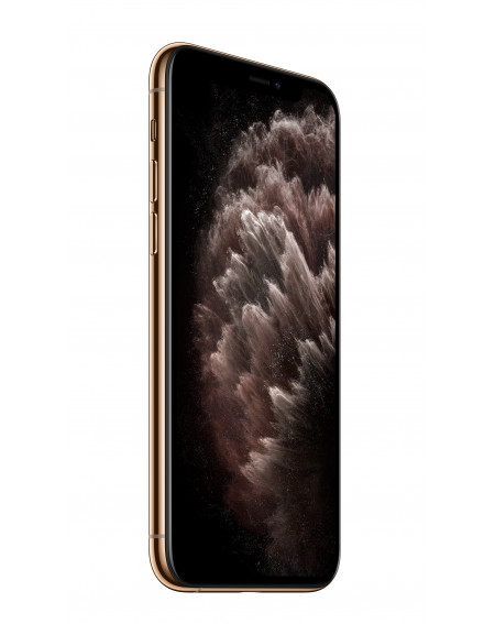 iPhone 11 Pro 256GB Gold - Prodotto rigenerato di grado B Plus